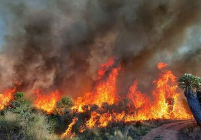 Incendios en el oeste cordobés: 12 mil hectáreas quemadas en seis días
